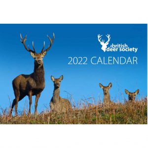 BDS Deer Wall Calendar 2022