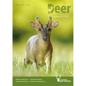 Deer Spring 2020