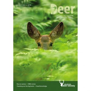 Deer Spring 2021