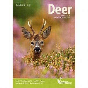 Deer Summer 2015