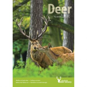 Deer Summer 2017