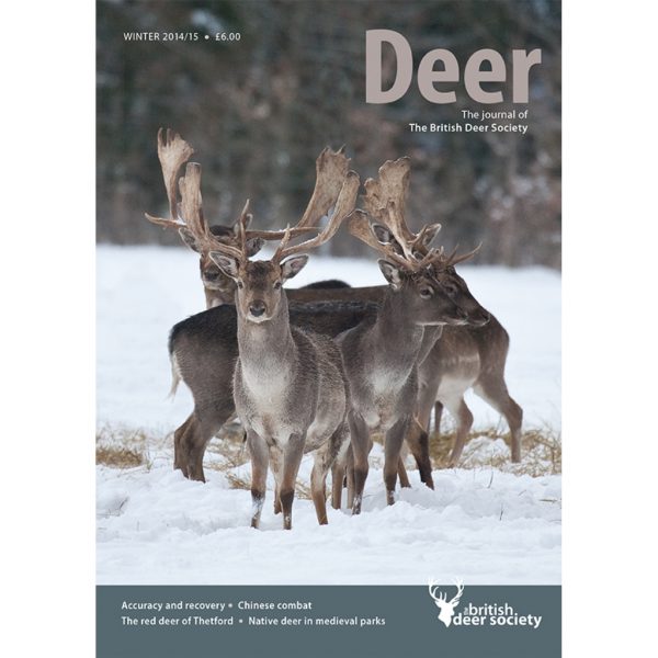 Deer Winter 2014