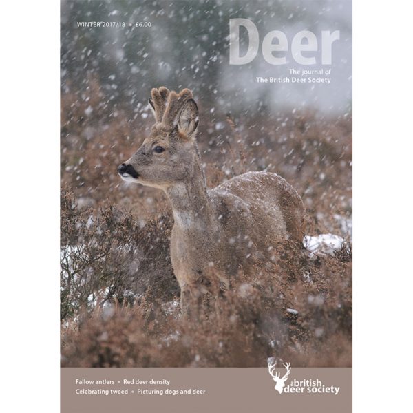 Deer Winter 2017